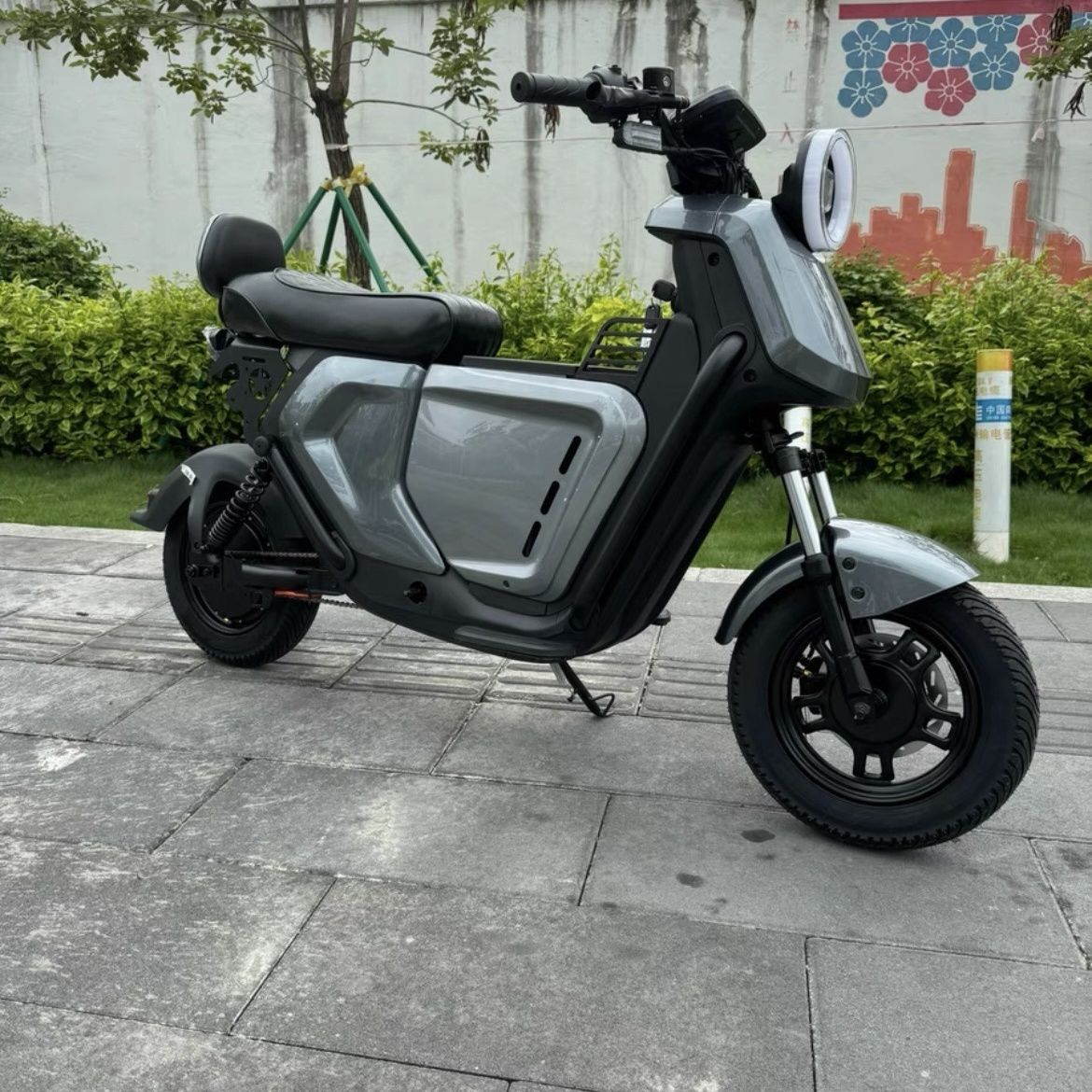 Electric Bikes